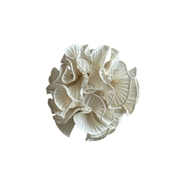 Pico Swirl Scrunchie - Ivory  hos parfumerihamoghende.dk 